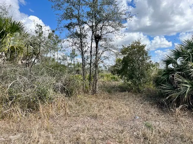 Shiloh Rd, Cedar Key, FL 32625 - #2