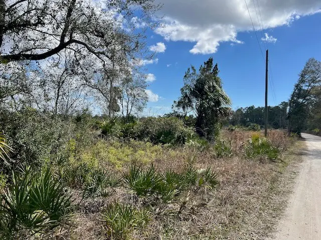Shiloh Rd, Cedar Key, FL 32625 - #3
