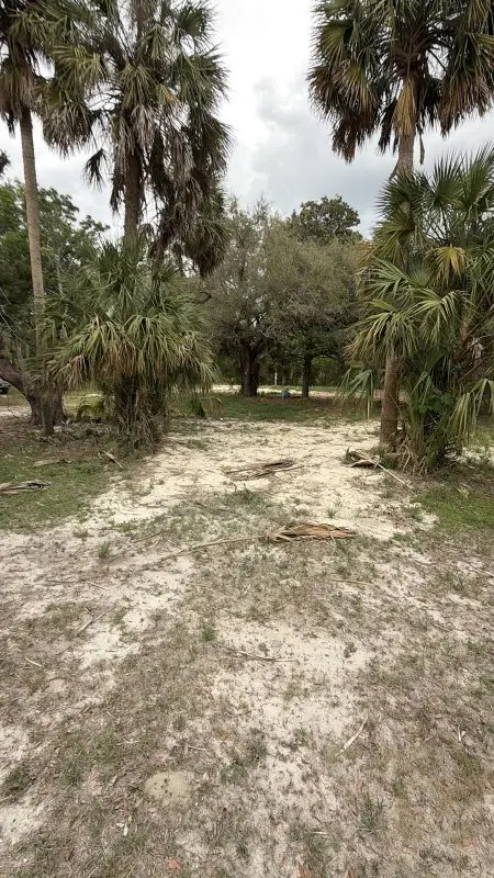 685 102nd Ave, Old Town, FL 32680 - #3