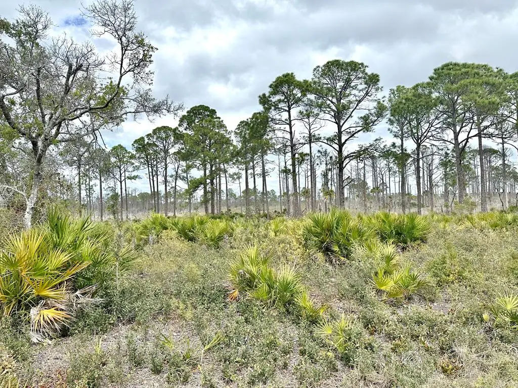 Lot 47 SW 100th Pl, Cedar Key, FL 32625 - #1