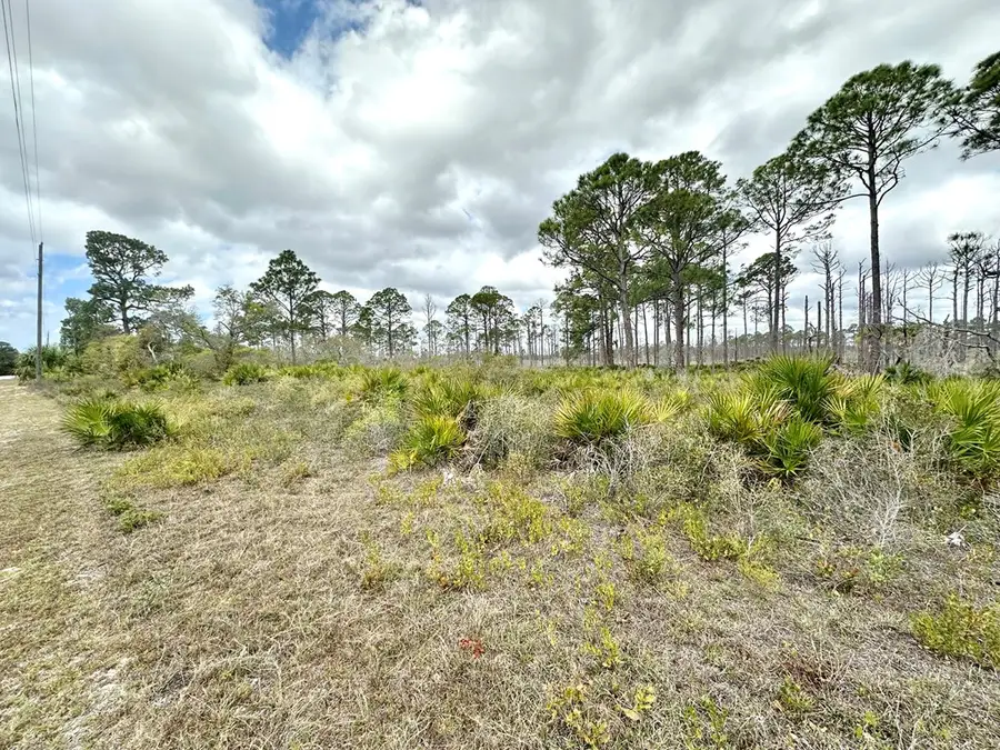 Lot 47 SW 100th Pl, Cedar Key, FL 32625 - #2
