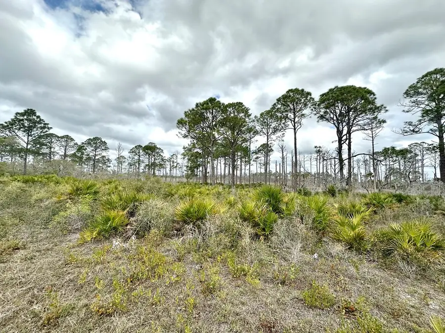 Lot 47 SW 100th Pl, Cedar Key, FL 32625 - #3