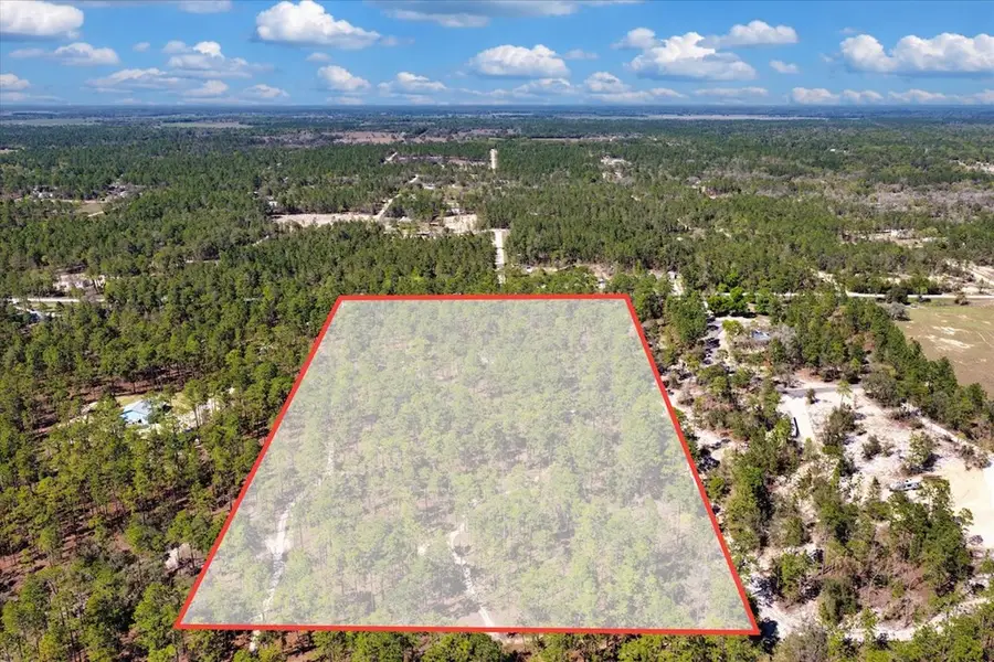 SE 10th St, Williston, FL 32696 - #3