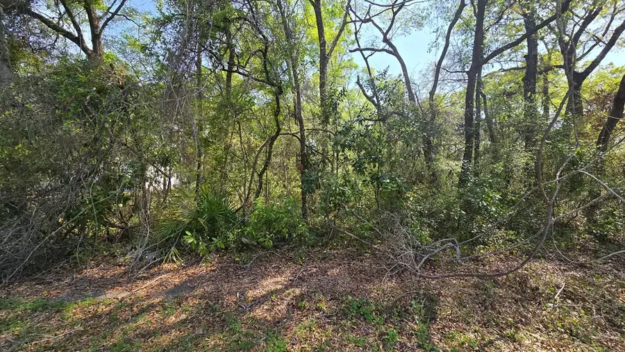 16571 NW 84th Ter, Fanning Springs, FL 32693 - #3