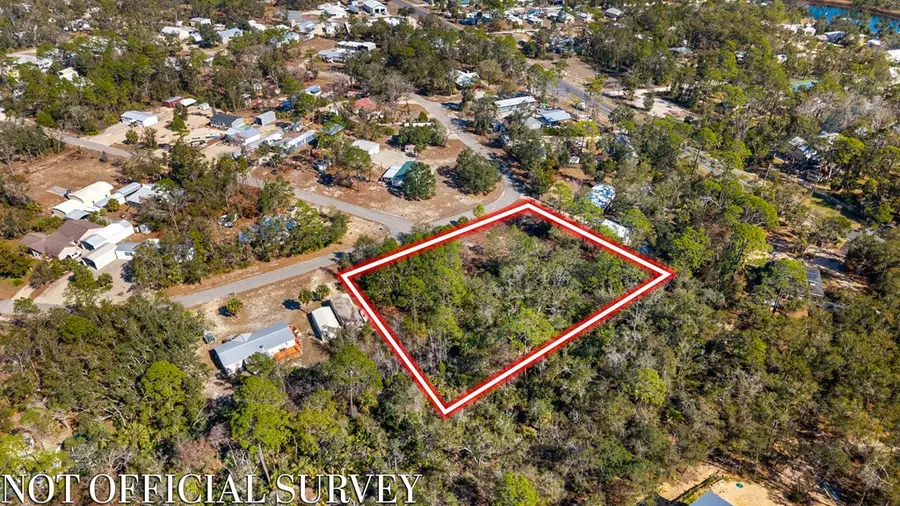 00 Kings Creek Cir, Steinhatchee, FL 32359 - #3