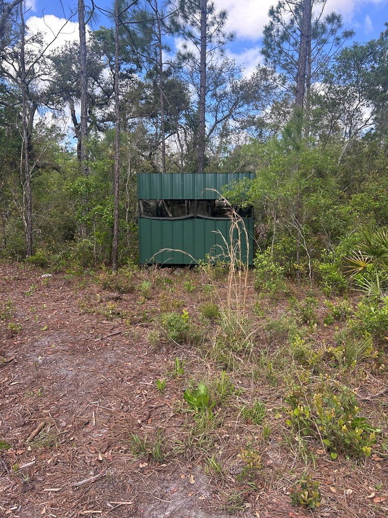 0000 Jody Morgan Rd, Perry, FL 32348 - #2