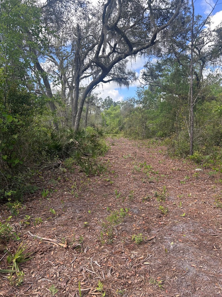 0000 Jody Morgan Rd, Perry, FL 32348 - #3
