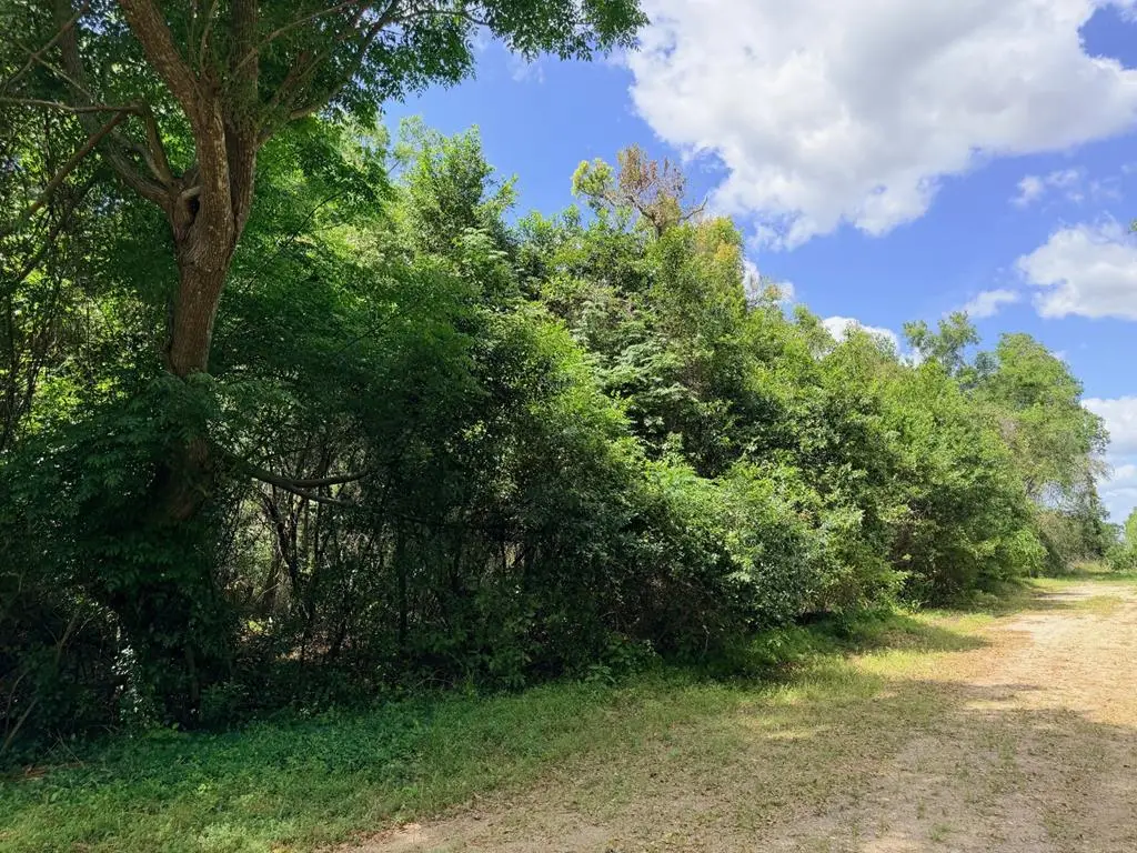 17170 NW 73rd Ter, Fanning Springs, FL 32693 - #1