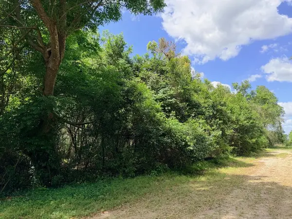 17170 NW 73rd Ter, Fanning Springs, FL 32693