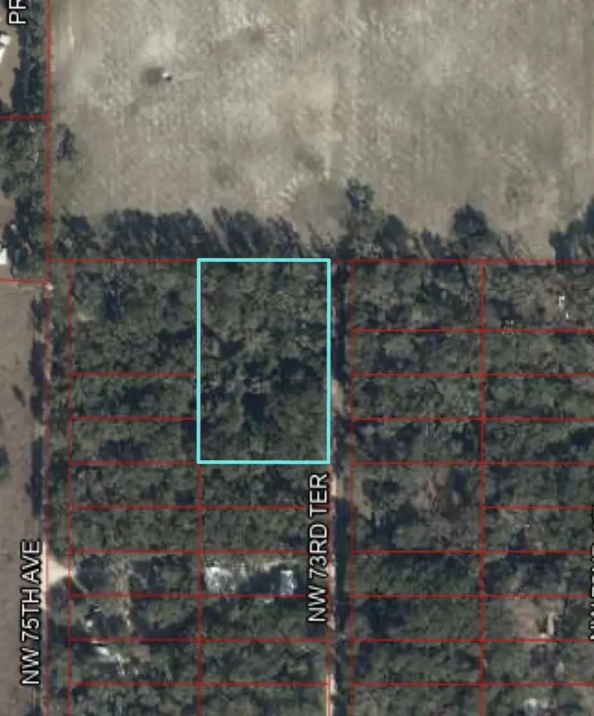 17170 NW 73rd Ter, Fanning Springs, FL 32693 - #3
