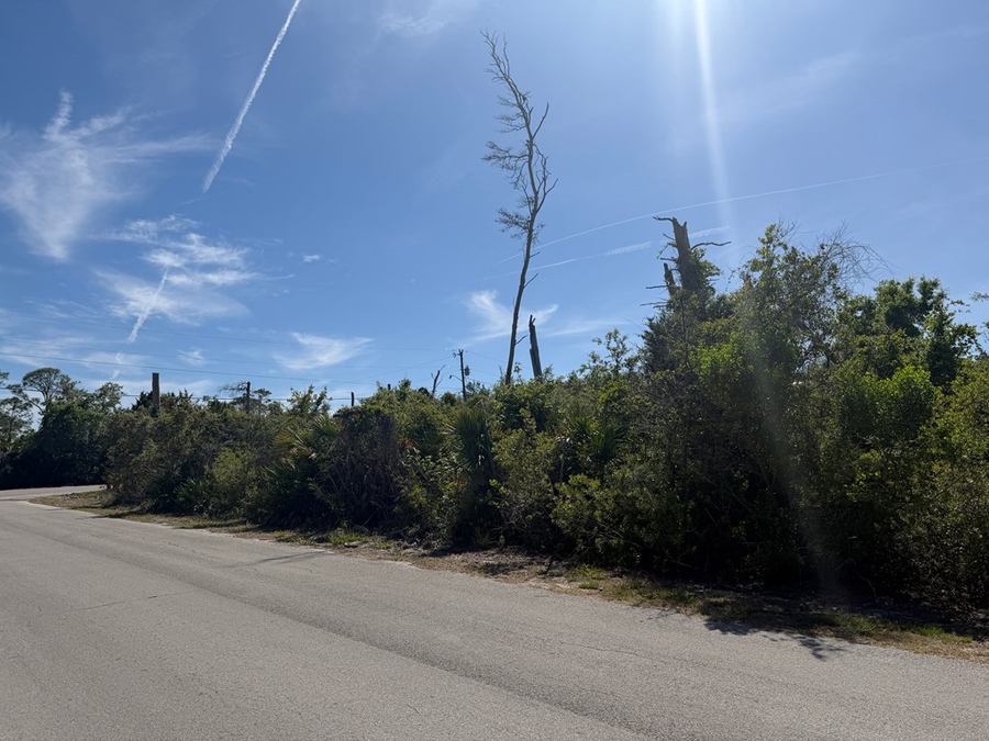 Watson Cir, Cedar Key, FL 32625 - #3