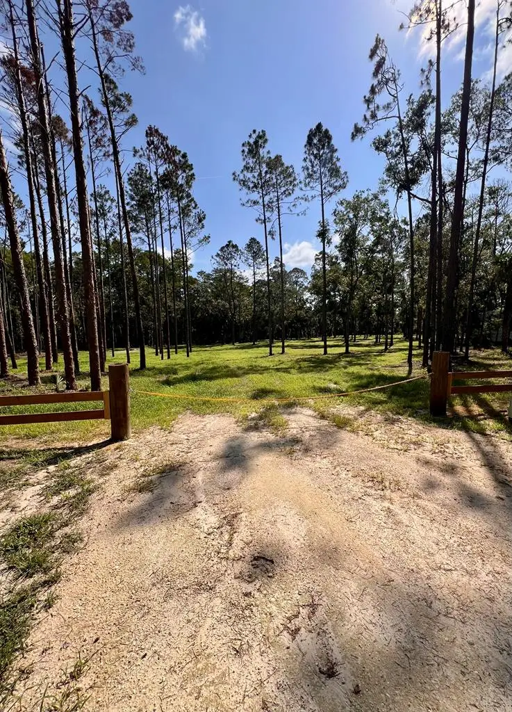 00 NE Webb Ln, Steinhatchee, FL 32359 - #1