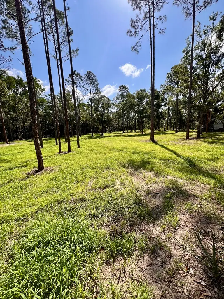 00 NE Webb Ln, Steinhatchee, FL 32359 - #3