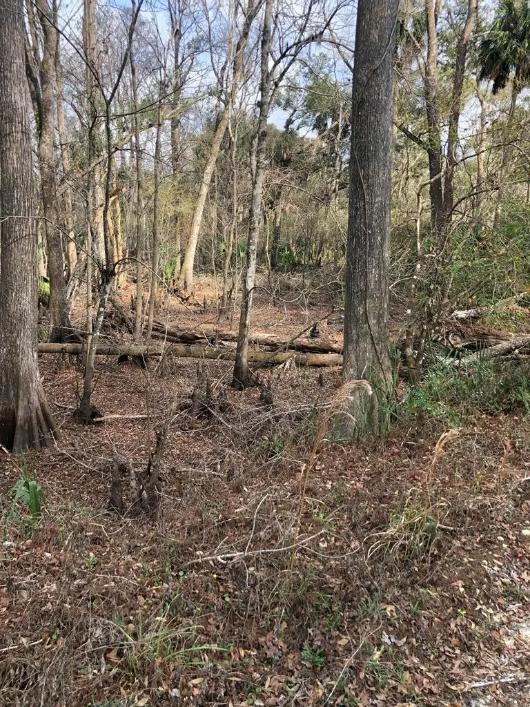 477th Ave, Old Town, FL 32680 - #2