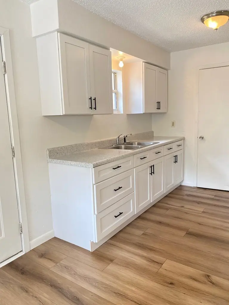 205 NE 147th St, Cross City, FL 32628 - #2