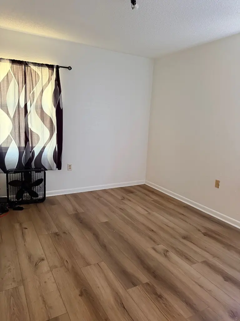 205 NE 147th St, Cross City, FL 32628 - #3
