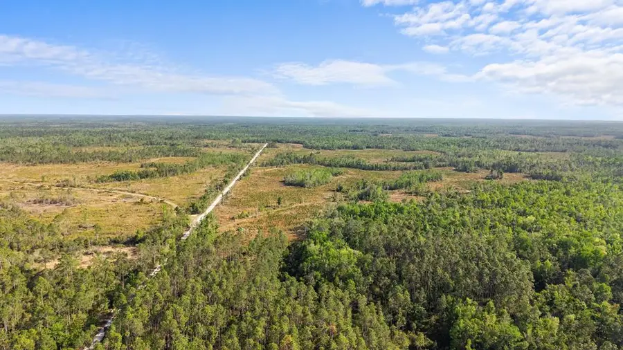 Unassigned, Steinhatchee, FL 32359 - #2