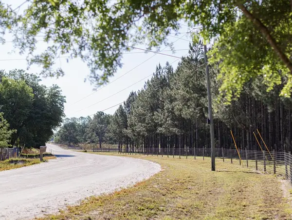 NW 41st Cir, Bell, FL 32619