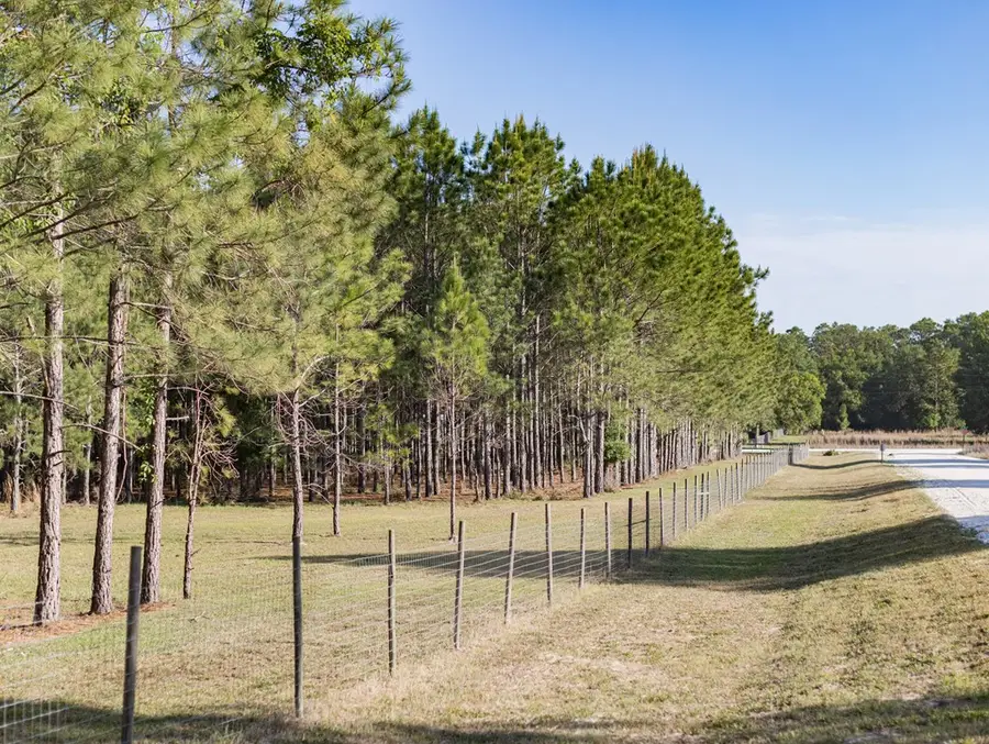 NW 41st Cir, Bell, FL 32619 - #3