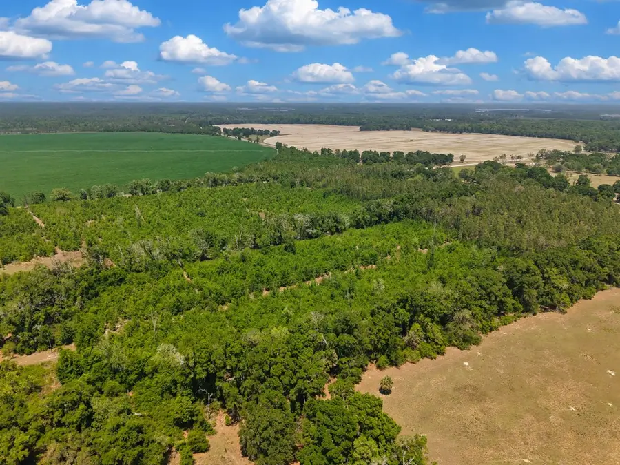TBD 000 NE 998th Ave, Branford, FL 32008 - #3