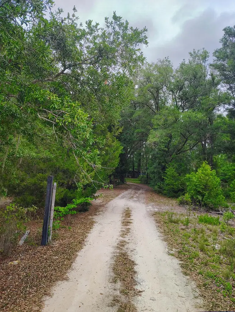 1863 NE 512th Ave, Old Town, FL 32680 - #2