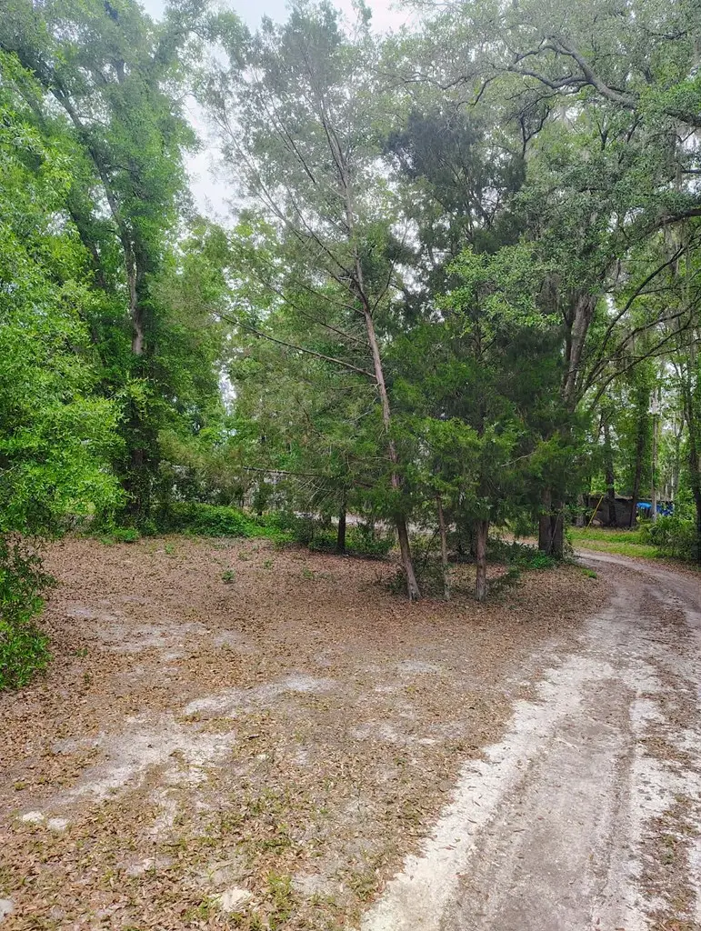 1863 NE 512th Ave, Old Town, FL 32680 - #3