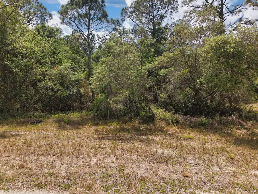 SW 123rd Ct, Cedar Key, FL 32625 - #2