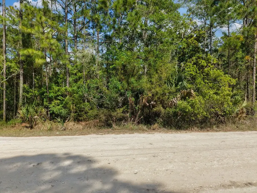 SW 125th Ave, Cedar Key, FL 32625 - #3