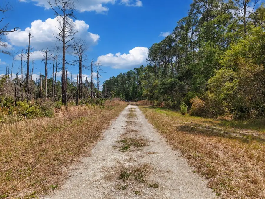 SW 123rd Ct, Cedar Key, FL 32625 - #3