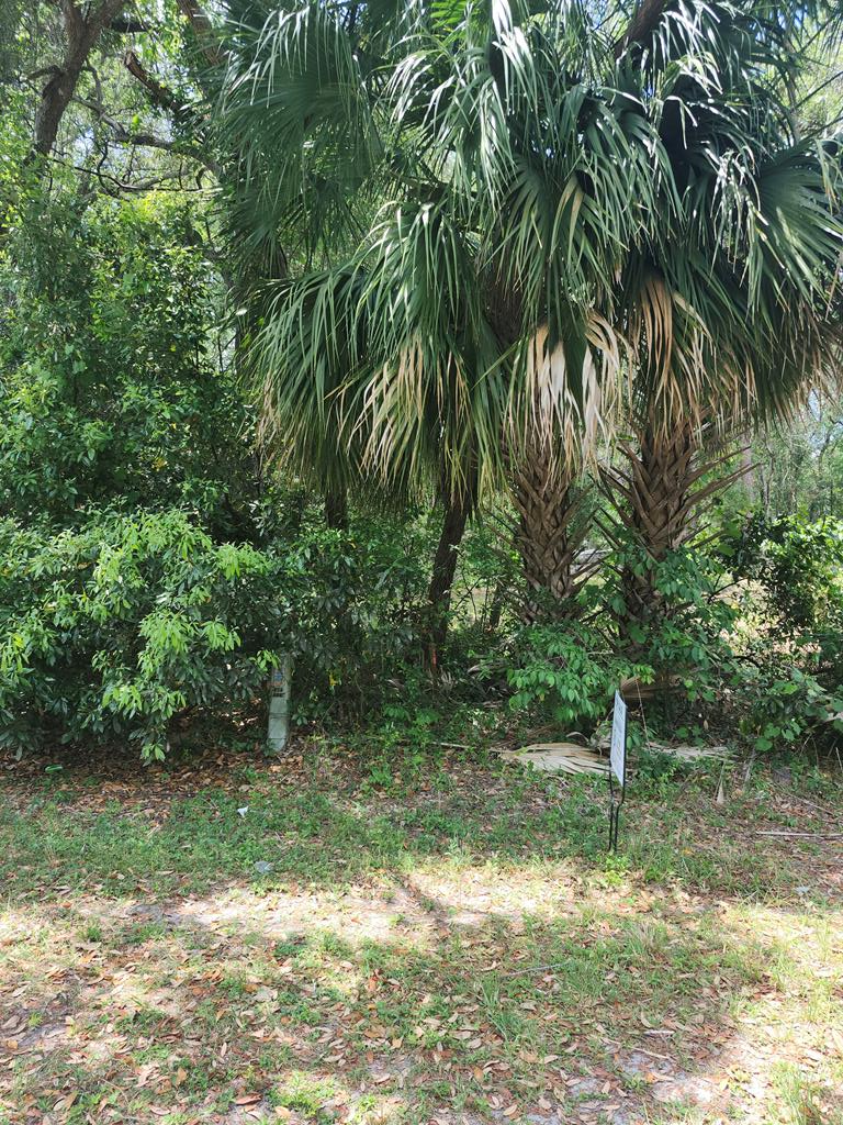 TBD NW 168th Ln, Fanning Springs, FL 32680 - #2