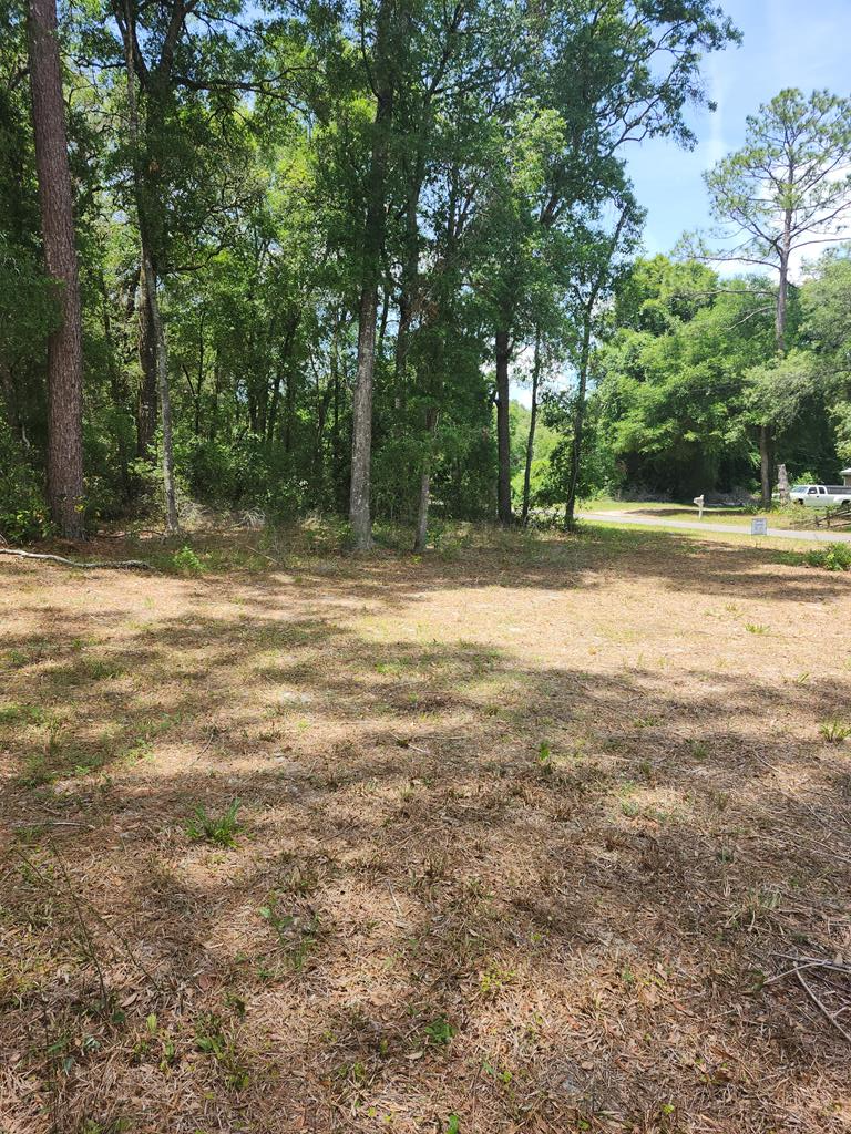 TBD NW 168th Ln, Fanning Springs, FL 32680 - #3