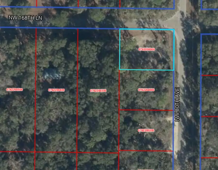 16850 NW 80th Ave, Fanning Springs, FL 32693 - #2