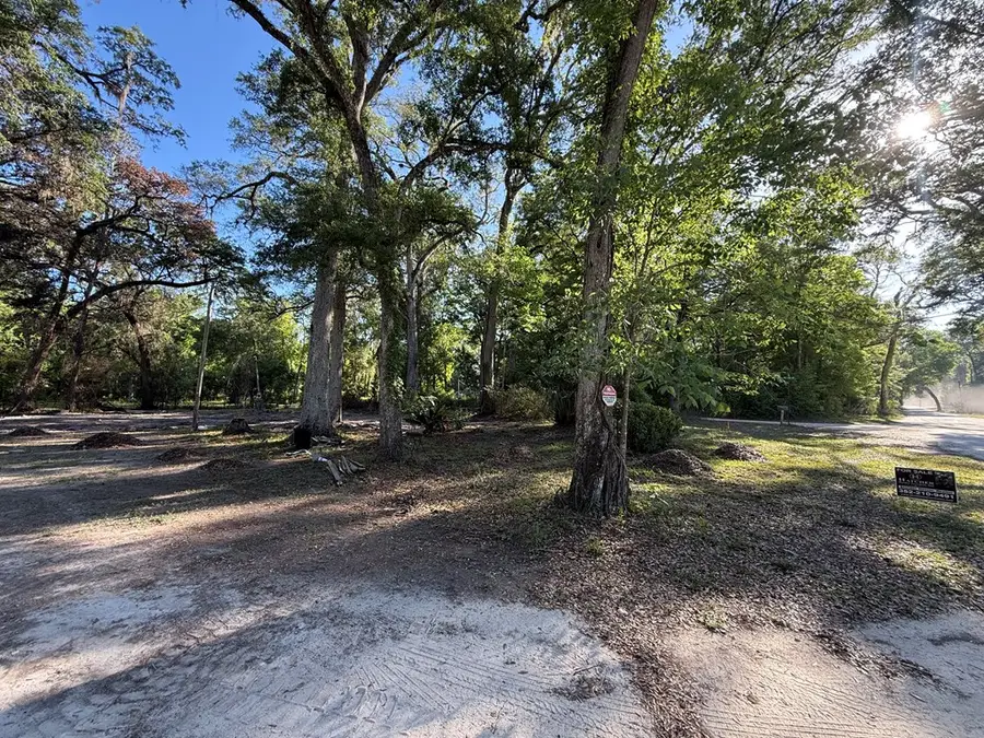 200 NE 197th Ave, Old Town, FL 32680 - #3