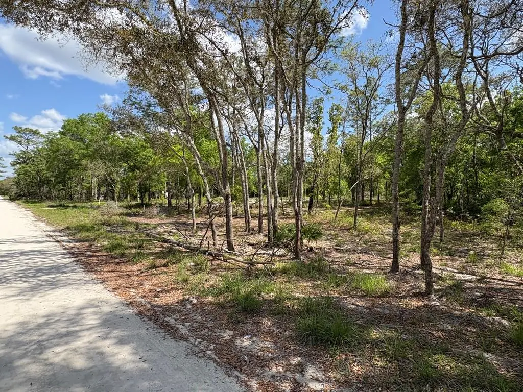 190th Ave, Old Town, FL 32680 - #1