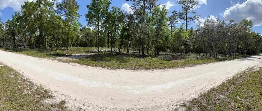 190th Ave, Old Town, FL 32680 - #2