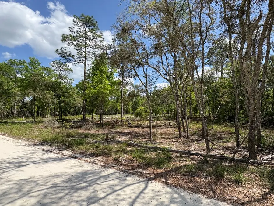 190th Ave, Old Town, FL 32680 - #3