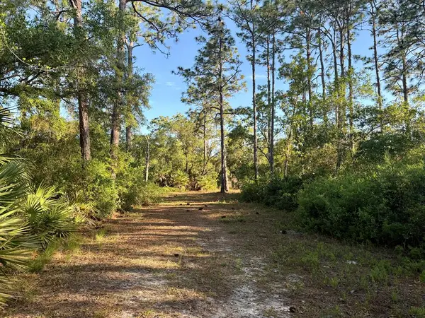 SW 66th Pl, Cedar Key, FL 32625