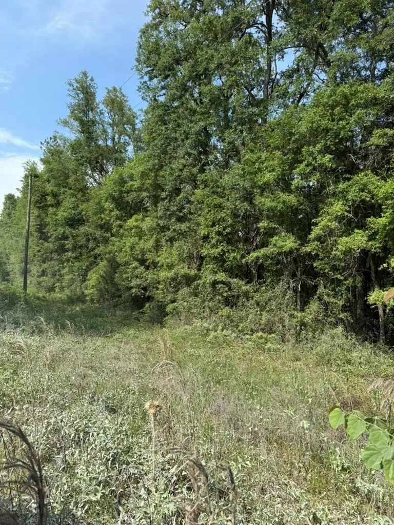 959 SW No Name Rd, Lake City, FL 32024 - #1