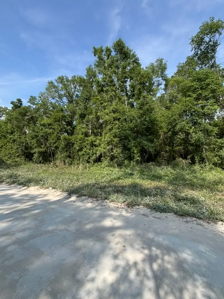 959 SW No Name Rd, Lake City, FL 32024 - #2