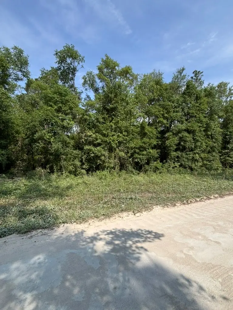 959 SW No Name Rd, Lake City, FL 32024 - #3