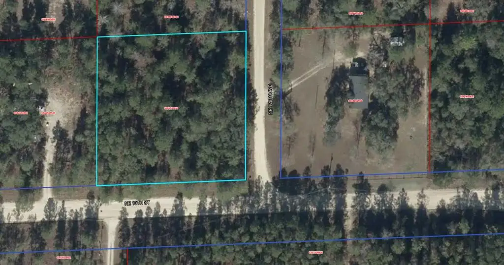NE 10th St, Williston, FL 32696 - #1