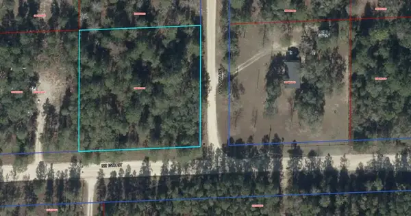NE 10th St, Williston, FL 32696