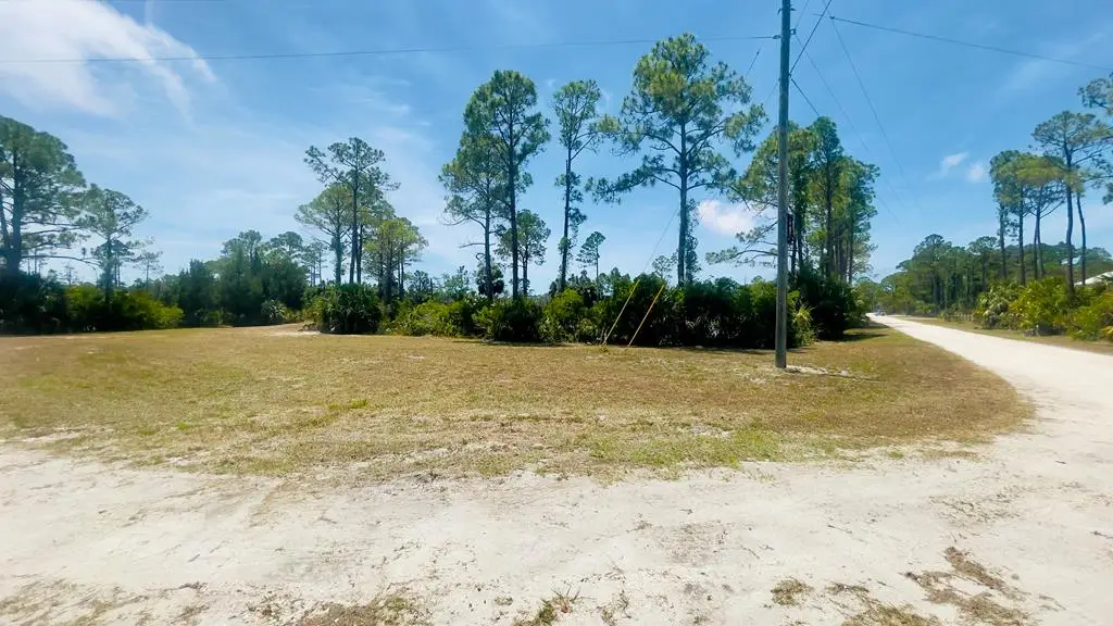 TBD SW 101st Ln, Cedar Key, FL 32625 - #1