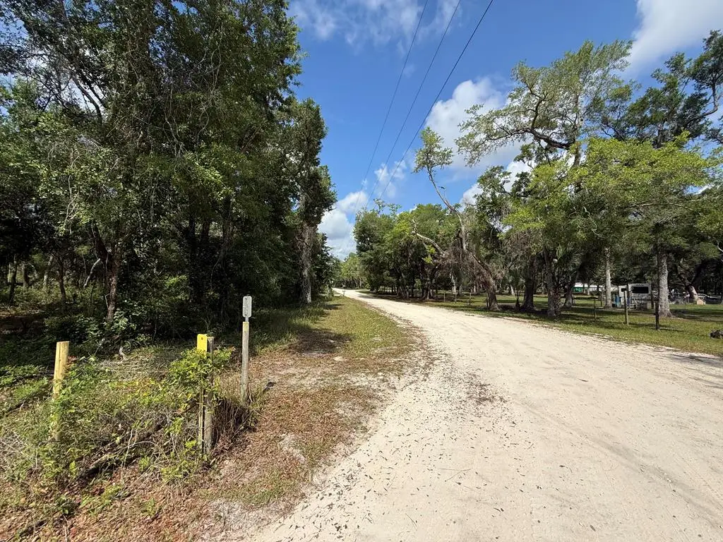 339 NE 529th St, Old Town, FL 32680 - #1