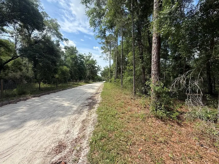 339 NE 529th St, Old Town, FL 32680 - #2