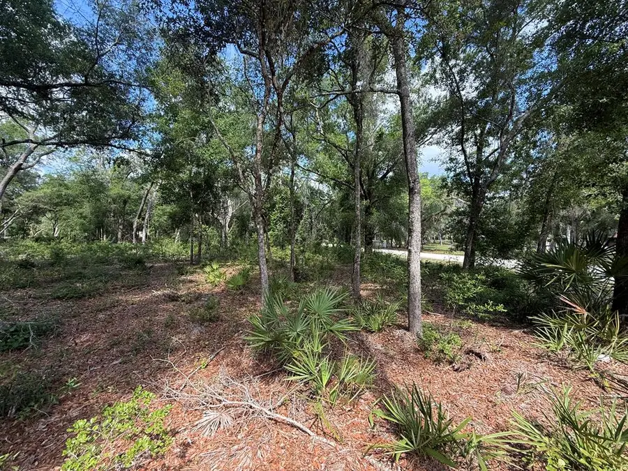 339 NE 529th St, Old Town, FL 32680 - #3
