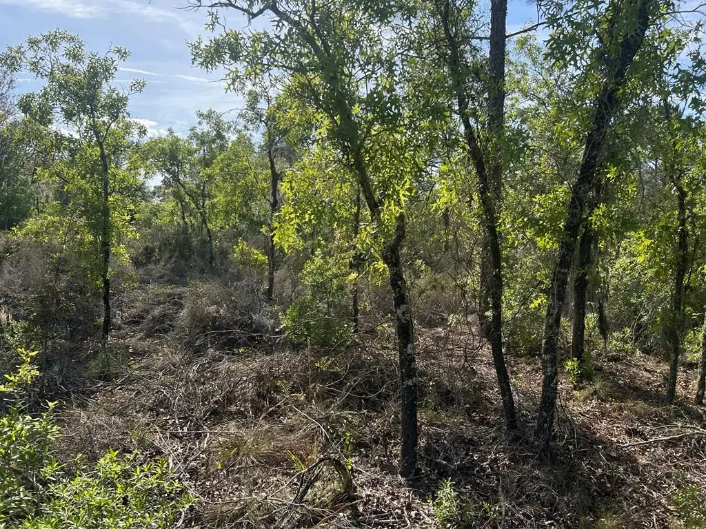 00 NE 58th St, Bronson, FL 32621 - #1