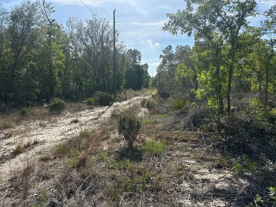 00 NE 58th St, Bronson, FL 32621 - #2