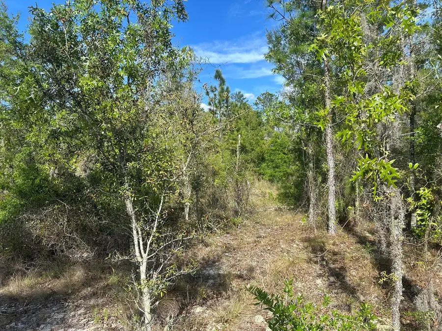 00 NE 58th St, Bronson, FL 32621 - #3
