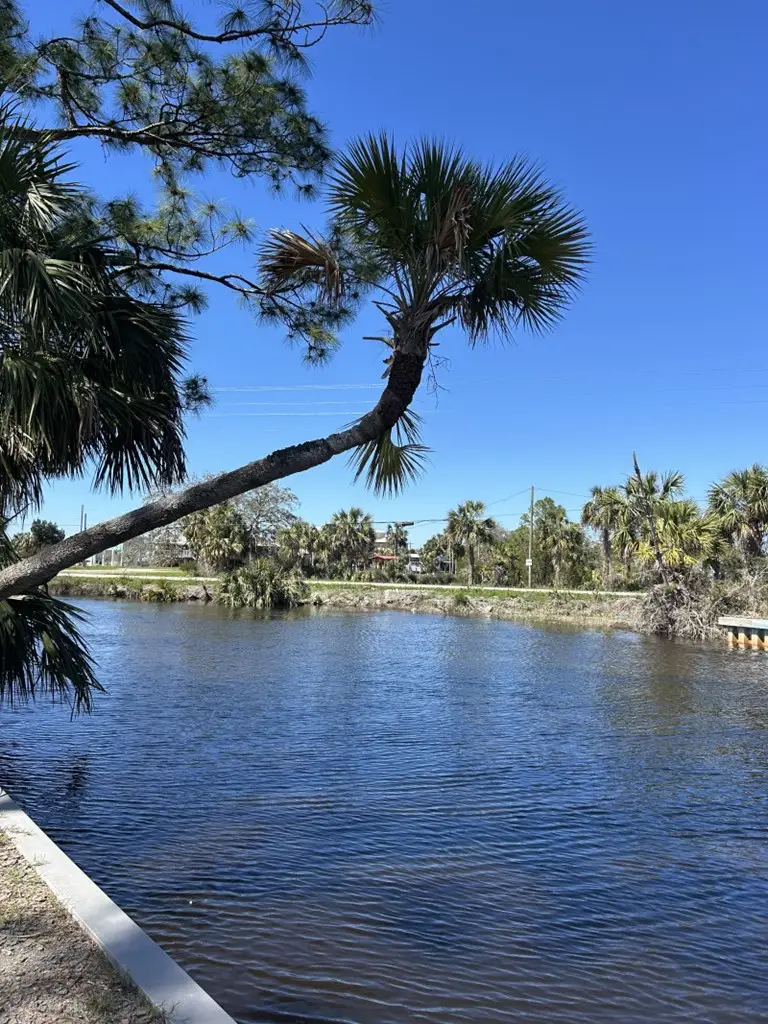 85 SE 217th St, Cross City South, FL 32692 - #2